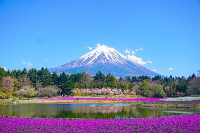beautiful mountain fuji Japan