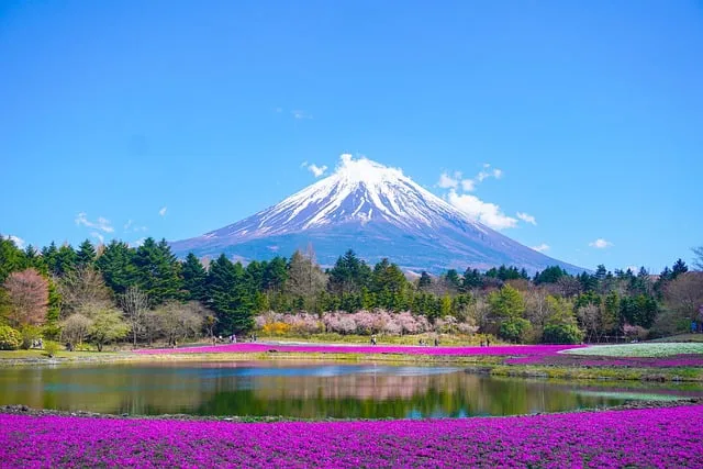 beautiful mountain fuji Japan