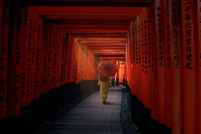 Japan norms
